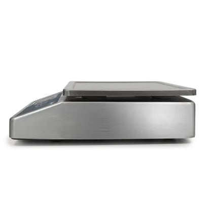 Stainless steel scale PS