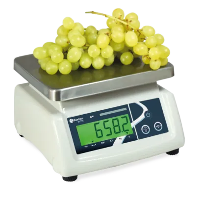 CHECKWEIGHING SCALE BS-TRI