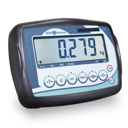 Low profile platform scale